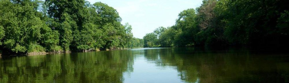 A quiet, tree-lined river reflecting the green banks